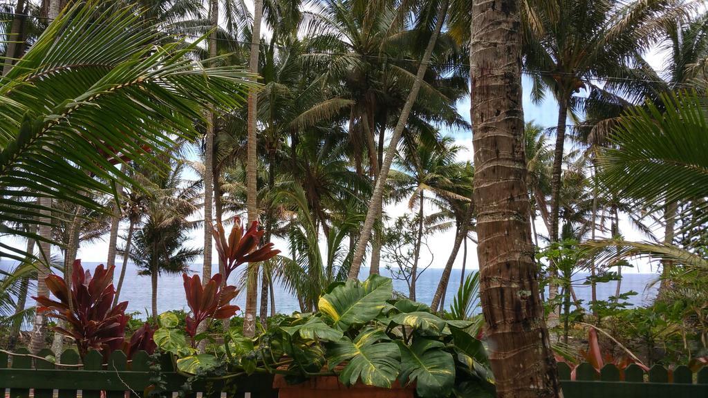 Nice Studio W/ Ac Near Kehena Beach And Lava Fields Rom bilde